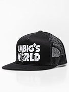 Ambig Wayne's Hat