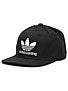 Adidas Skateboarding Snapback Hat