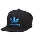 Adidas Skateboarding Snapback Hat