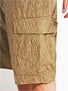 Analog AG Cargo 2 Shorts