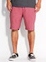 Analog Hachette Shorts
