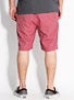 Analog Hachette Shorts