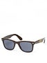 Anti Hero Sunnies Sunglasses  Brown