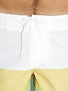 ambsn Popsicle Boardshorts
