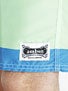 ambsn Popsicle Boardshorts