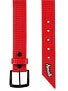 Armourdillo Riddle Belt