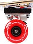 Black Label Beer Can Beach Mini Cruiser 7.5 x 27
