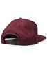 Bohnam Golden Eagle Snapback Hat
