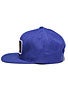 Bohnam Liberty Snapback Hat