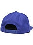 Bohnam Liberty Snapback Hat