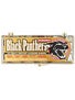 Black Panther Ceramic Bearings