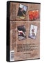 Bones Brigade Propaganda DVD