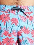 Brixton Bernie Boardshorts