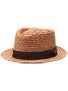 Brixton Delta Fedora Hat