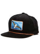 Coal The Gull Hat