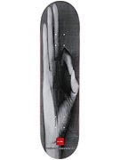 Chocolate Pappalardo Hand Sign Deck 7.75x31.1