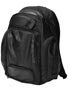 Dakine Chris Haslam Covert Backpack