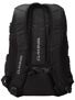 Dakine Network Backpack