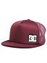 DC Blanderson Trucker Hat