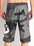 DC Lanai Essential 4 Boardshorts