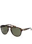 Dot Dash Gentry Tortoise