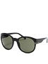 Dot Dash Pasche Sunglasses