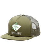 Diamond Homegrown Mesh Hat