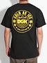 DGK Cold As Ice T-Shirt