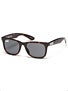DGK Classic Sunglasses  Tortoise