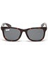 DGK Classic Sunglasses  Tortoise