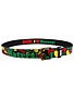 DGK Haters Collage Belt