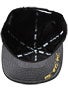 DGK Henny Snapback Hat