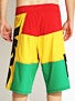 DGK Int'ly Known Boardshorts