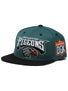 DGK Pigeons Snapback Hat