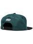 DGK Pigeons Snapback Hat