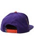 DGK Purple Haze Snapback Hat