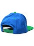 DGK Slogan Snapback Hat