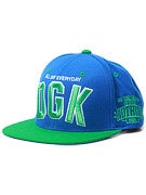 DGK Slogan Snapback Hat