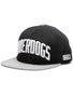 DGK Underdogs Snapback Hat