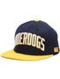 DGK Underdogs Snapback Hat