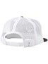 Dragon Icon Trucker Hat