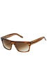 Dragon Viceroy Brown Stripe/Bronze Gradient Lens