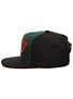 Deathwish DeathKing Snapback Hat