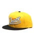 Deathwish Dragon Snapback Hat