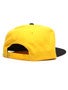 Deathwish Dragon Snapback Hat