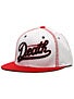 Deathwish Dragon Snapback Hat