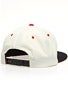Deathwish Deathspray Snapback Hat
