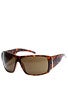 Big Beat Tortoise/Bronze Lens