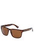 Knoxville Tortoise/Bronze Lens