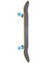 Enjoi Cool Blue Complete  8.0 x 31